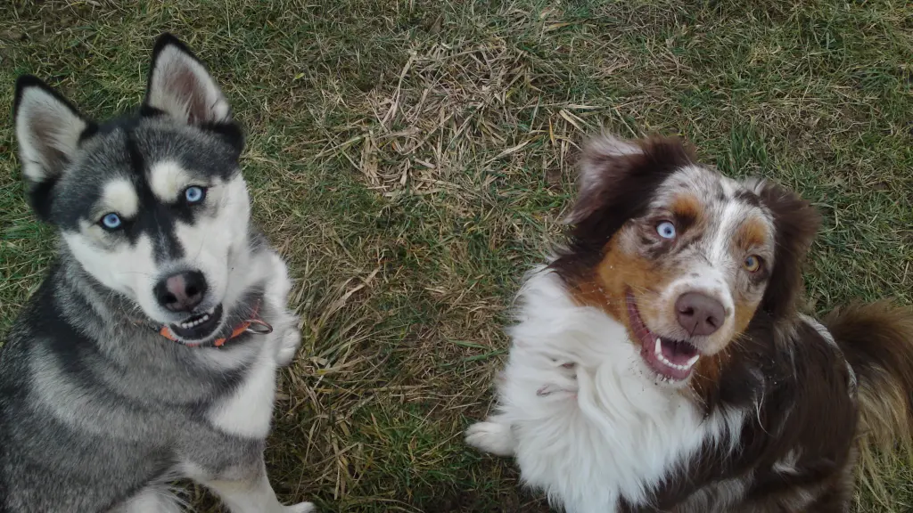 Image from Shayenne + Yakima
