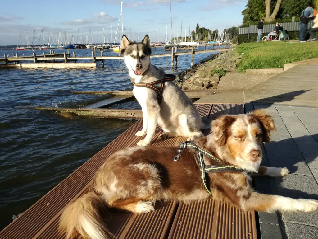 Image from Shayenne + Yakima