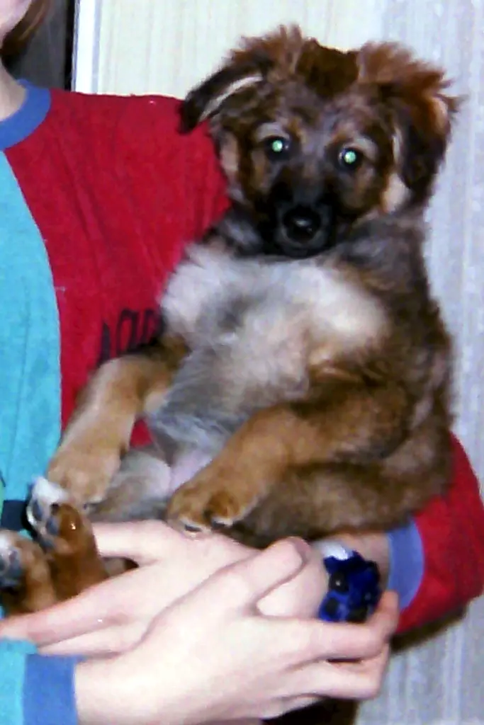 Andachtsbild von Simone