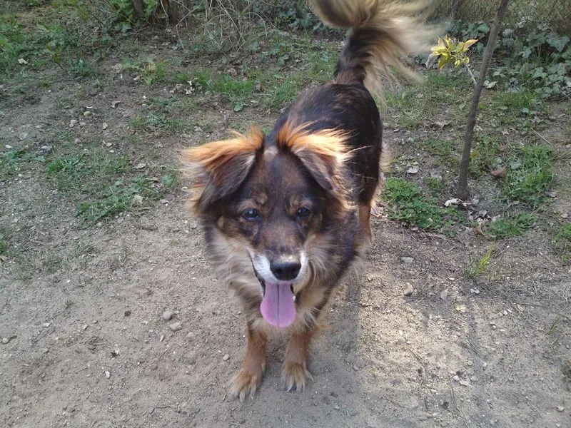 Bild von Tapsy