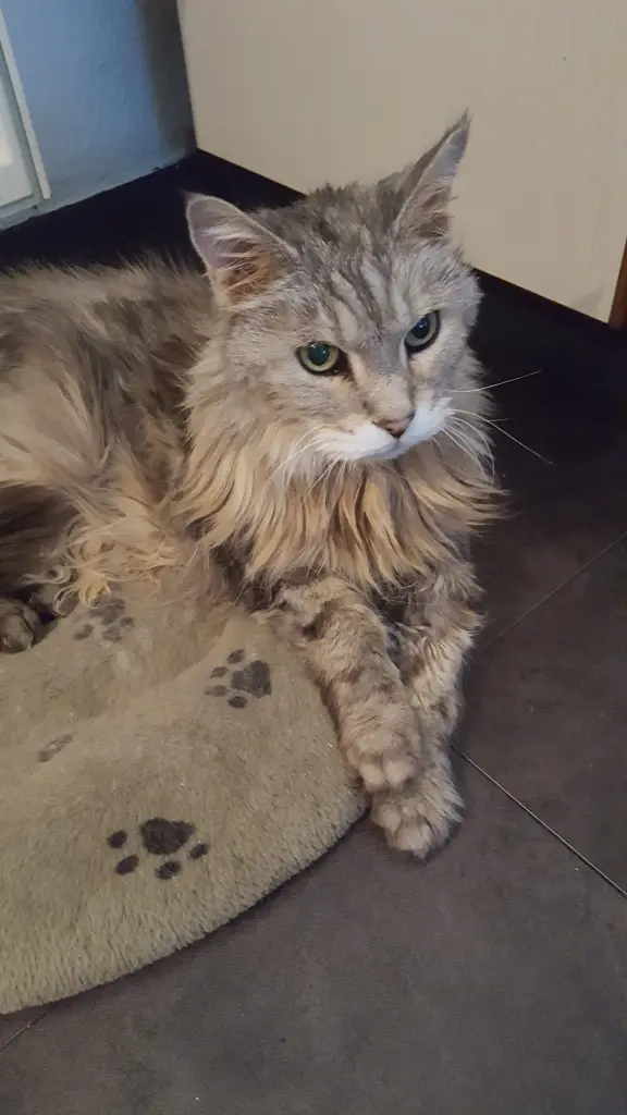 Andachtsbild von Barbara 