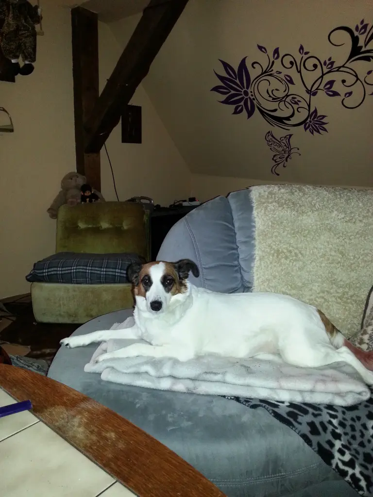 Andachtsbild von Renate