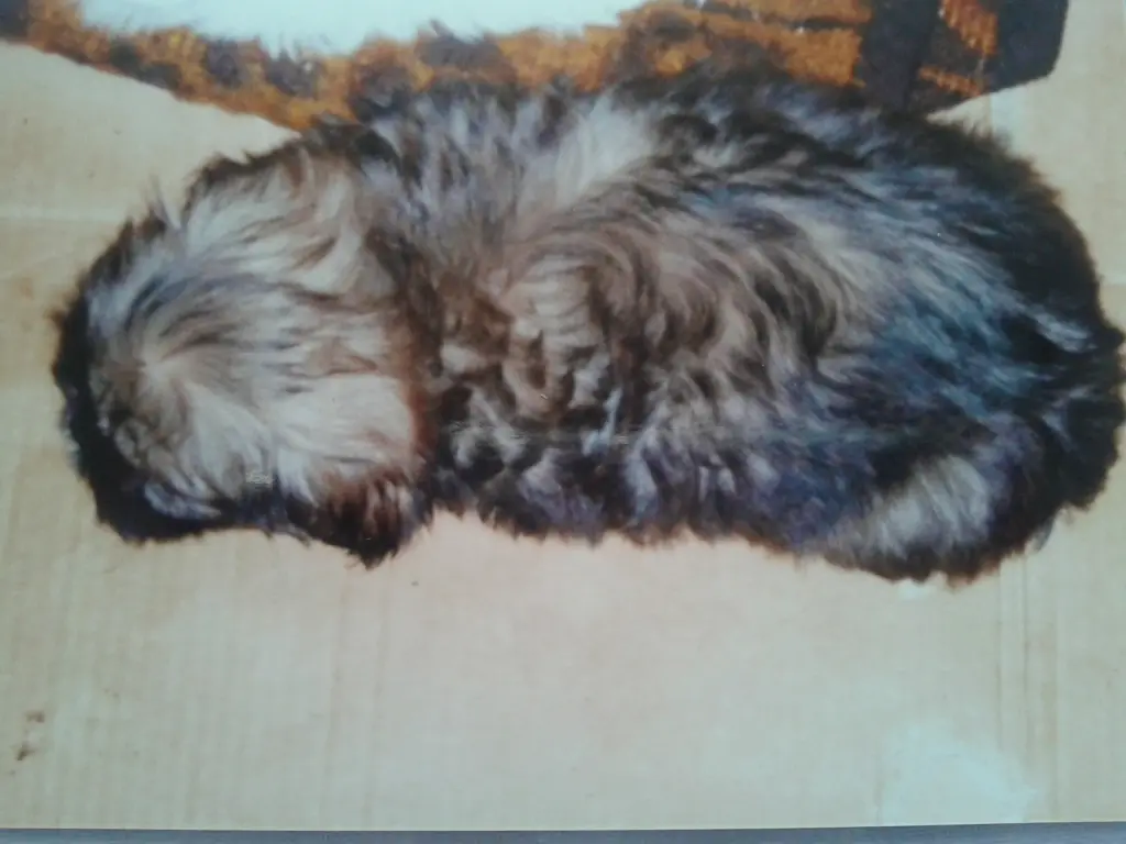 Bild von XANDO
