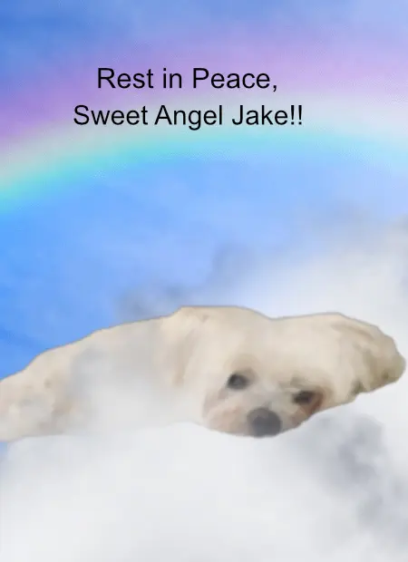 Condolence image of Annette