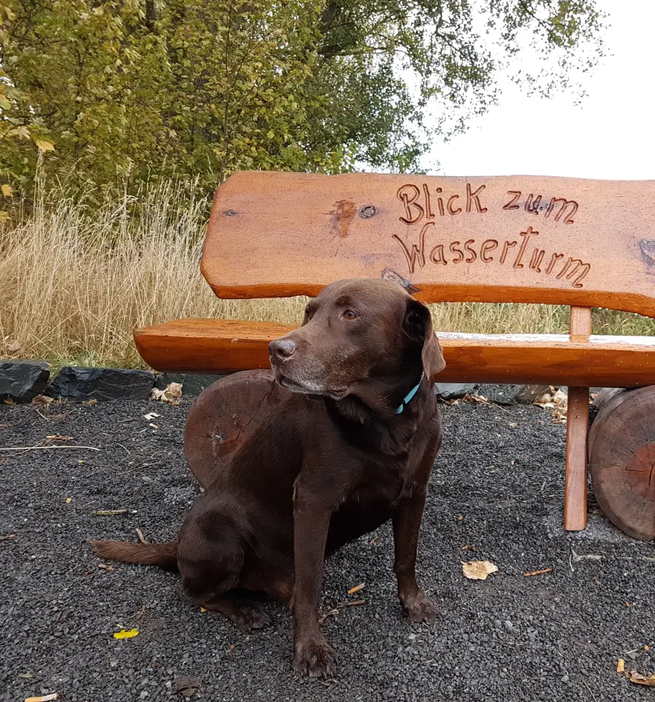 Condolence image of Silvana 