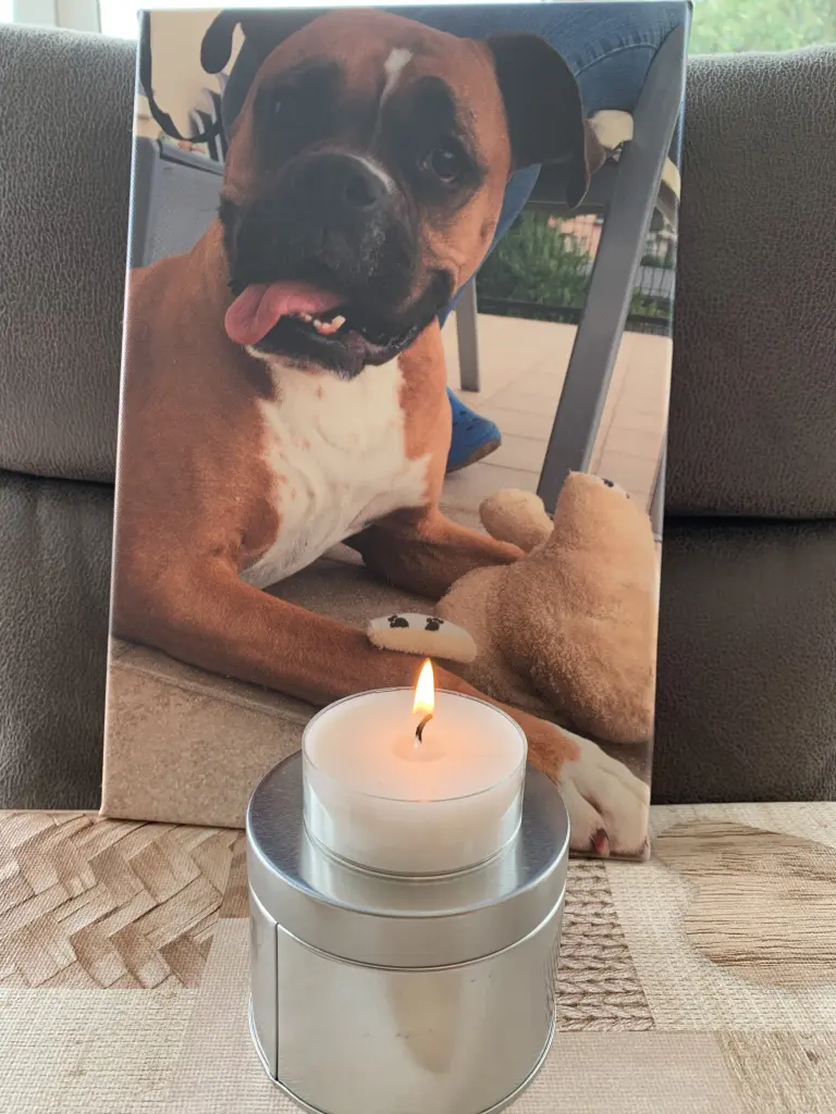 Condolence image of Danielle Feltz