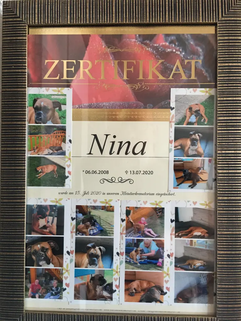 Image from Nina