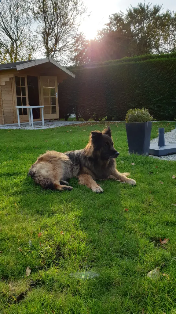 Condolence image of Renate