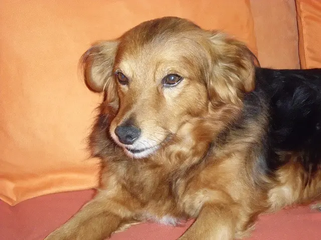Condolence image of Marliese
