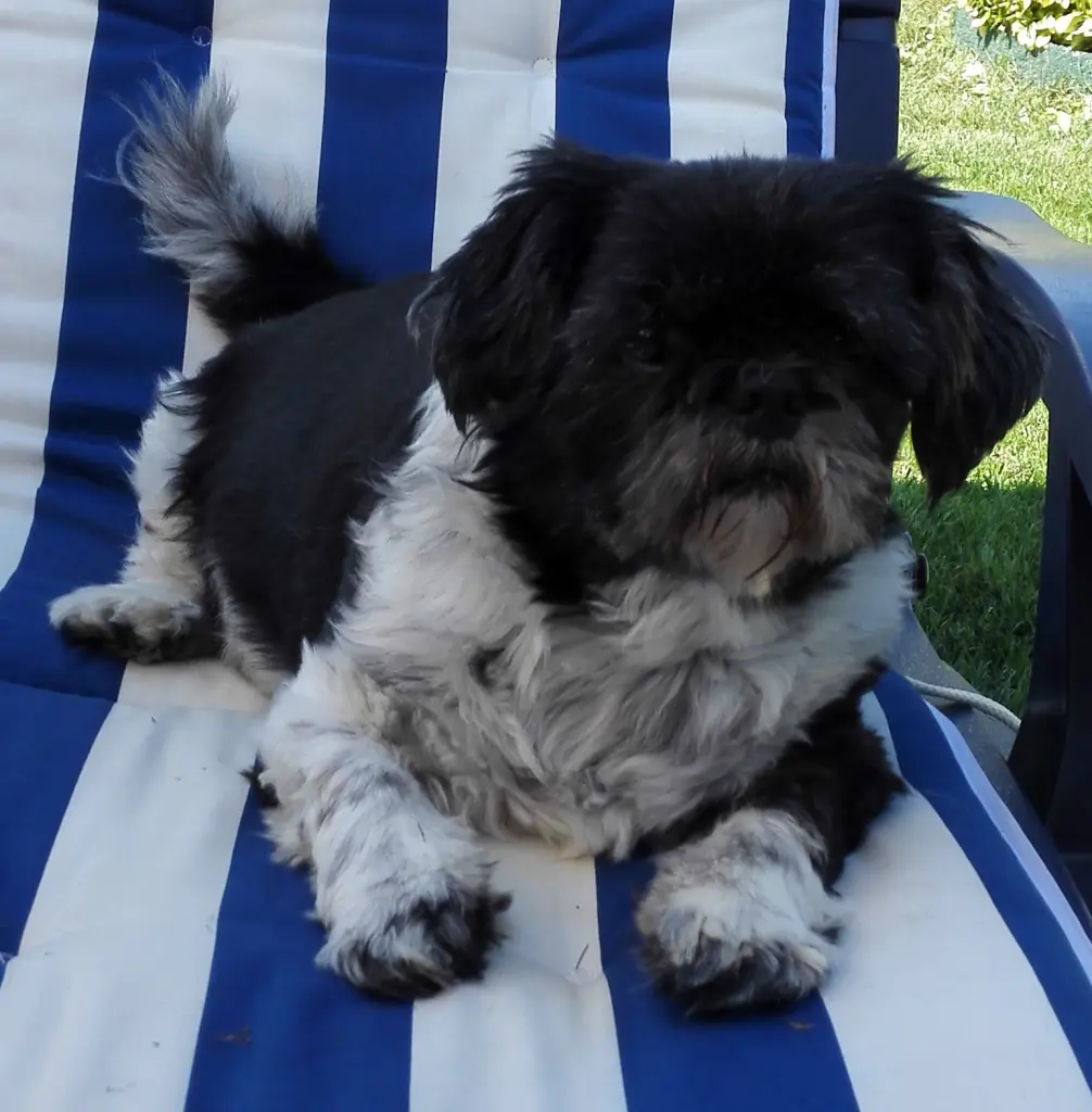 Image from Danny ( Unser Dicker )