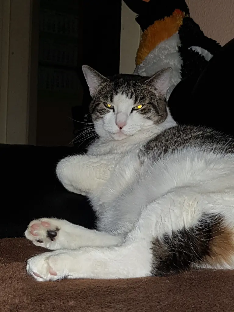 Condolence image of Stefanie 
