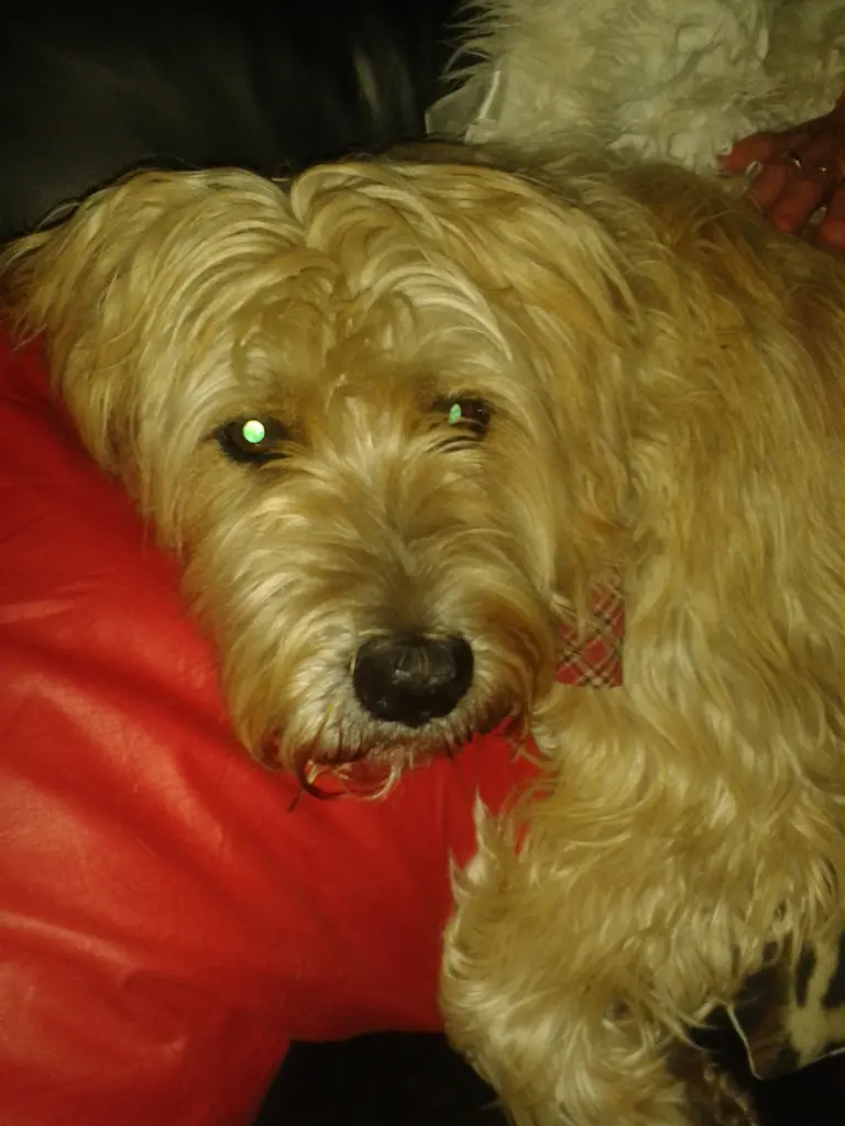 Image from Zora