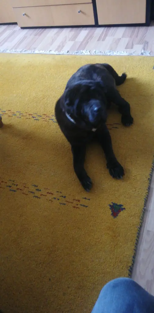 Andachtsbild von Frank Wickert