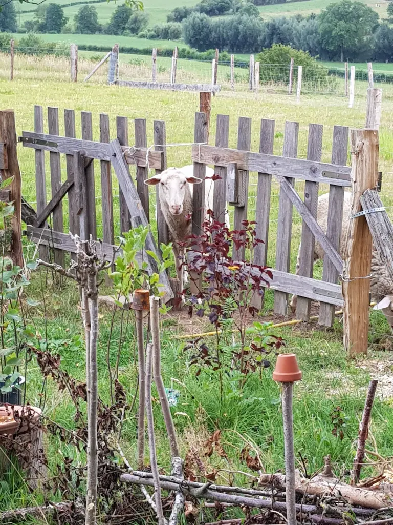 Andachtsbild von Sonja