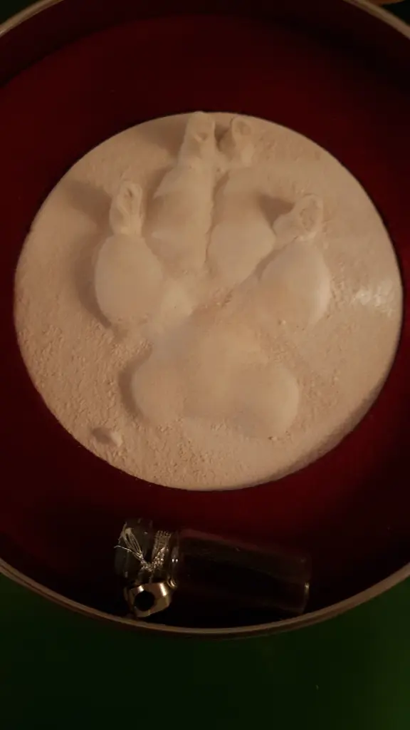 Andachtsbild von Für Loona ❤