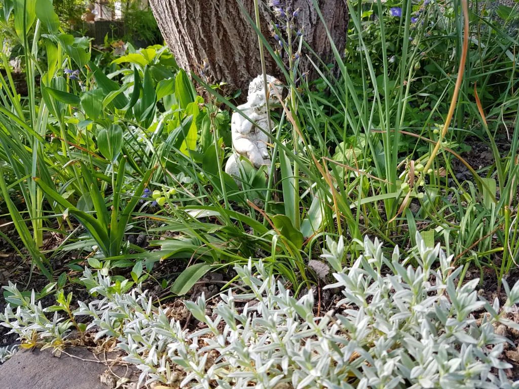 Andachtsbild von Für Loona ❤