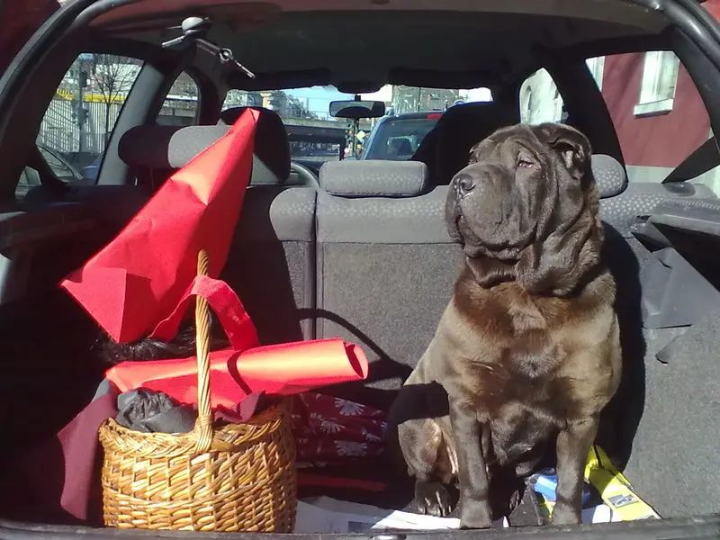 Andachtsbild von Für Loona ❤