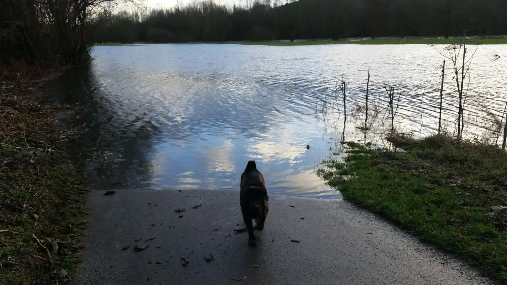 Andachtsbild von Sonja