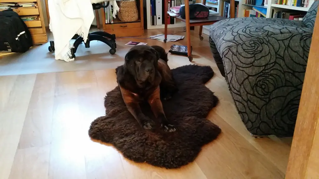 Andachtsbild von Sonja