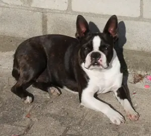 Image from Krümel