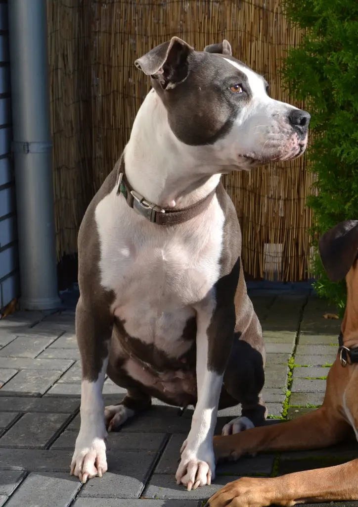 Andachtsbild von Karin 