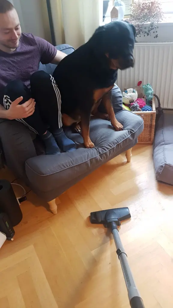 Andachtsbild von Herrchen