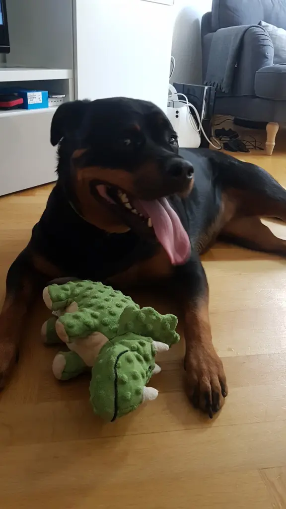 Andachtsbild von Lisa