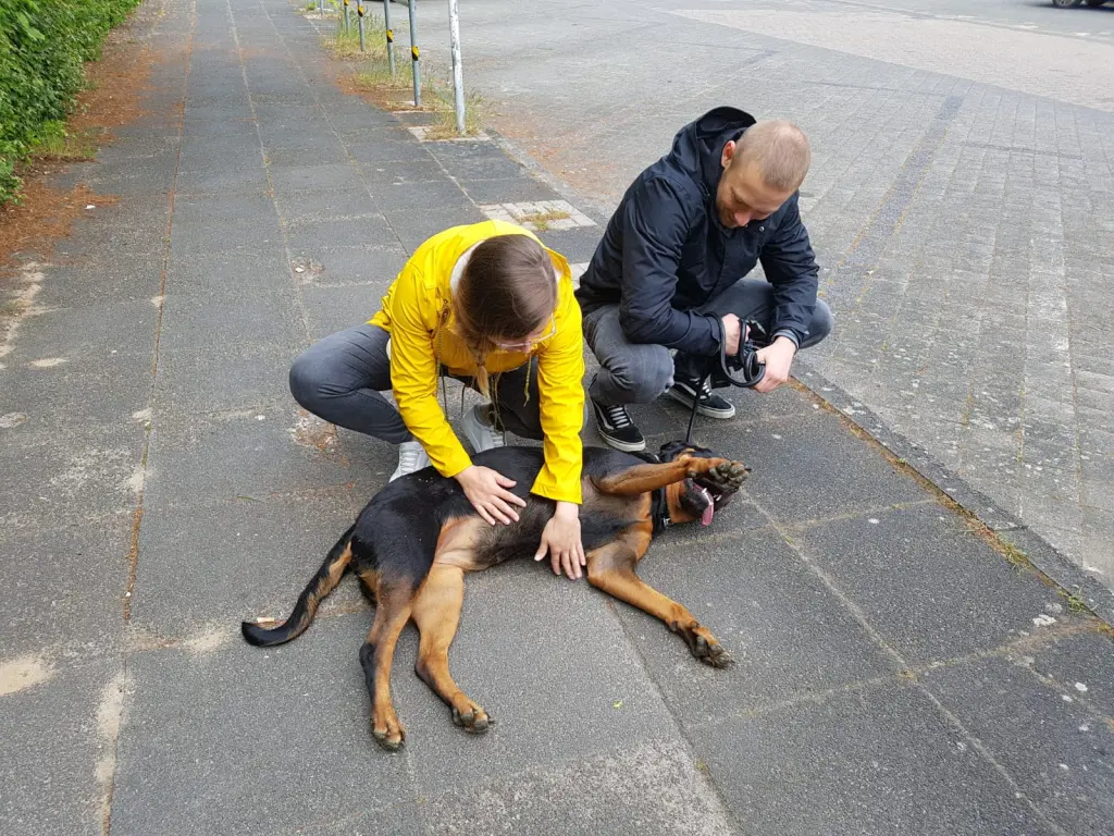 Andachtsbild von Frauchen