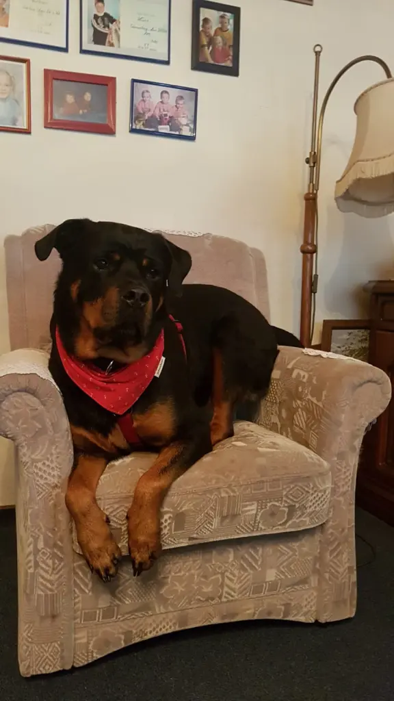 Andachtsbild von Frauchen