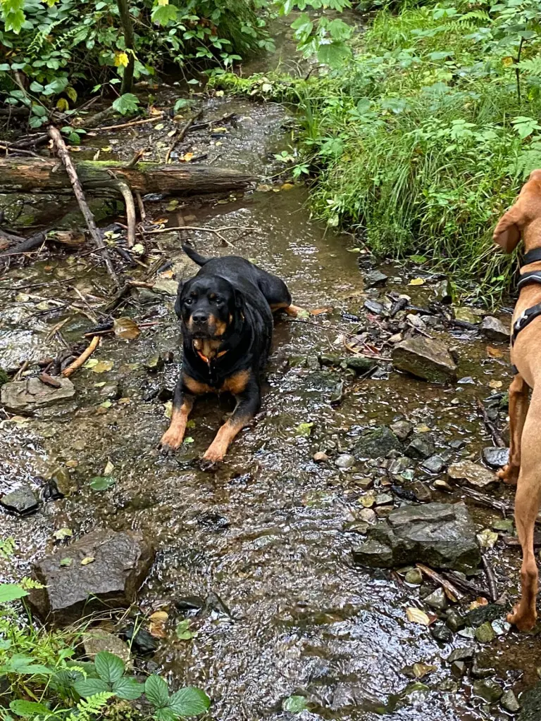 Andachtsbild von Opa 