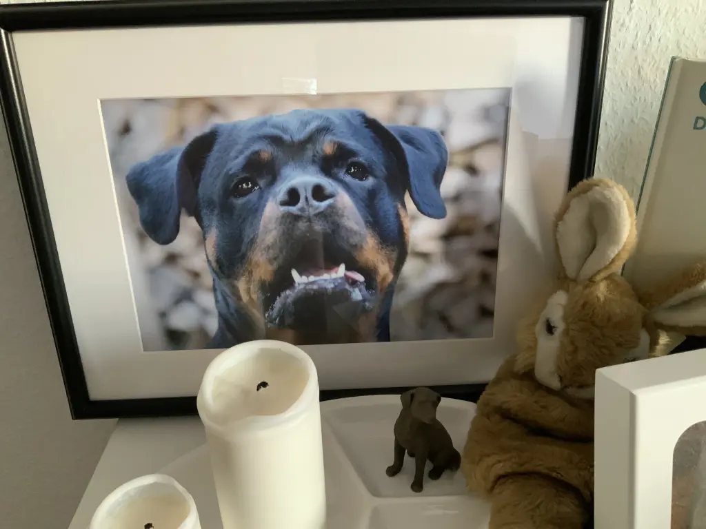 Andachtsbild von Frauchen