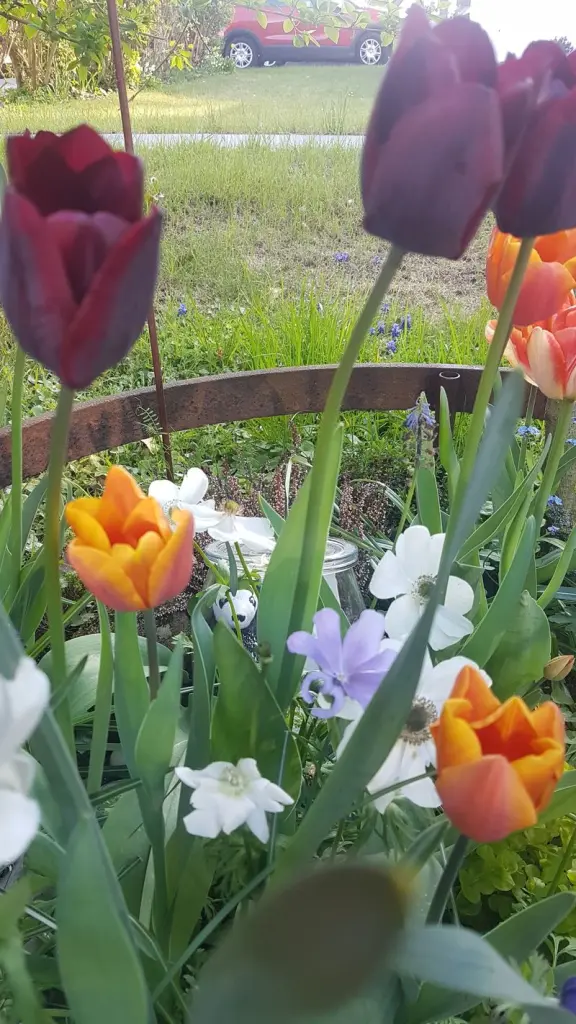 Andachtsbild von Frauchen