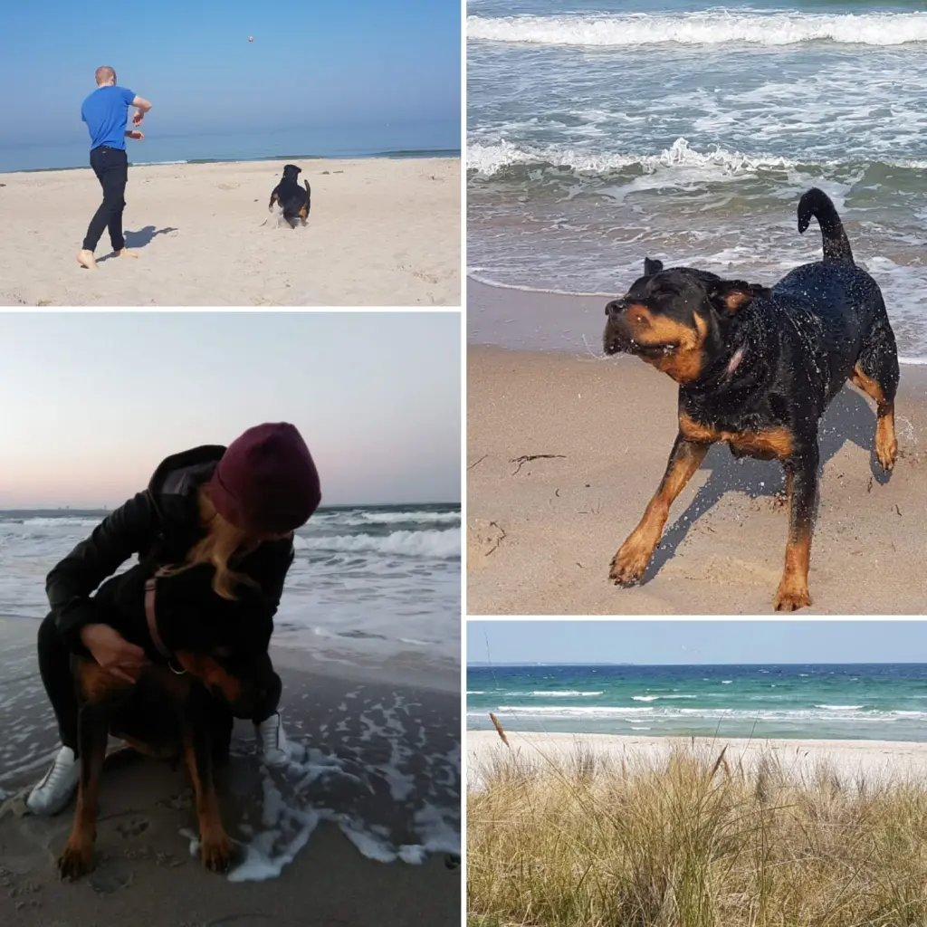 Andachtsbild von Frauchen