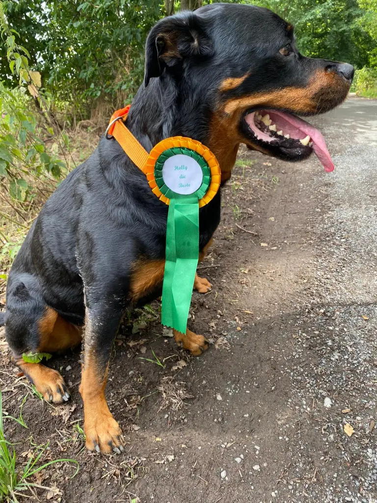 Andachtsbild von Frauchen