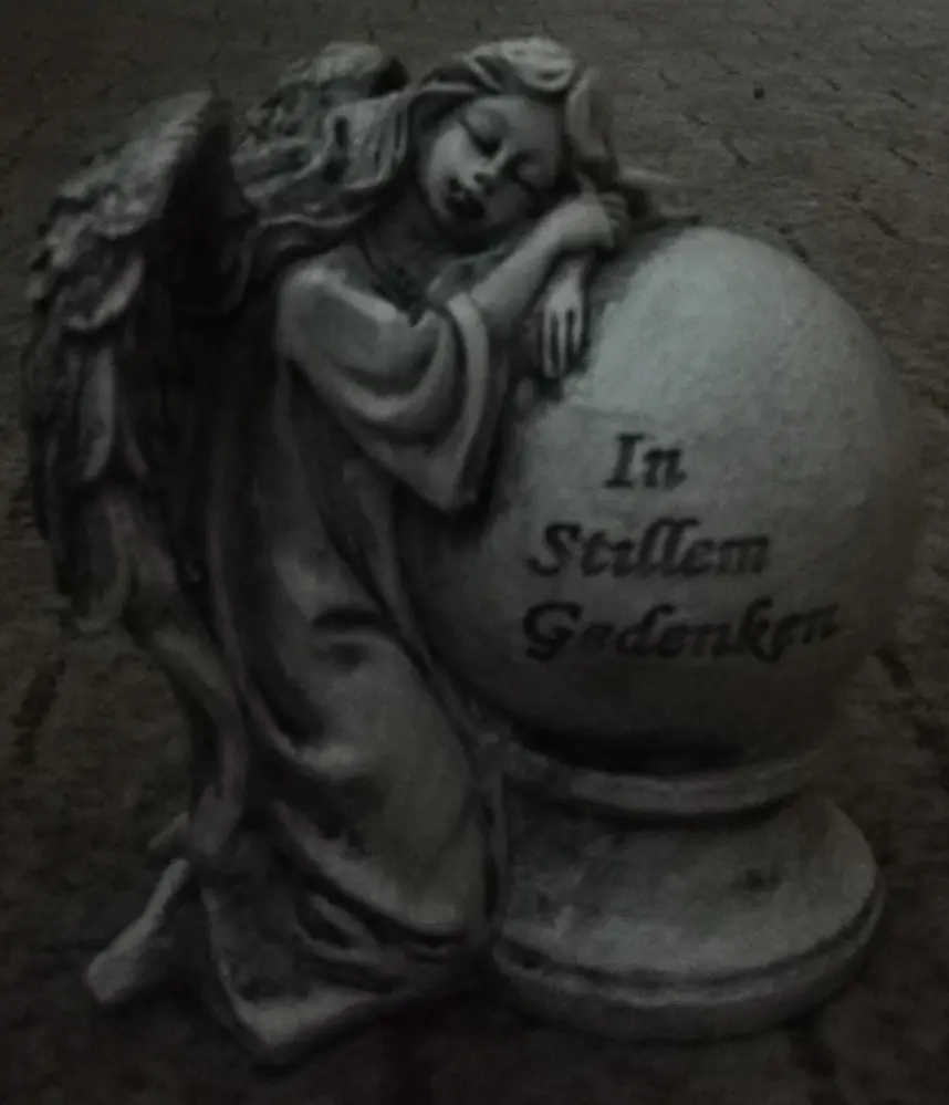 Condolence image of Sandra Schulz