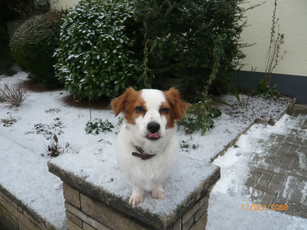 Image from Rusty