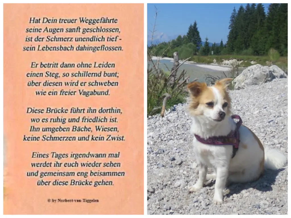 Condolence image of Norbert
