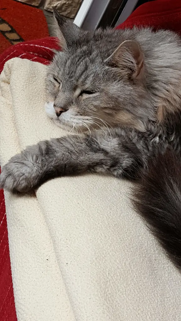 Condolence image of Barbara