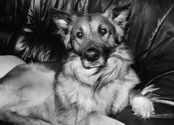Condolence image of Sandra