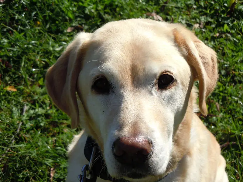 Bild von Kira