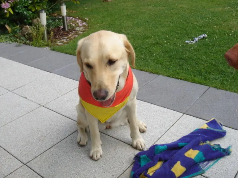 Bild von Kira