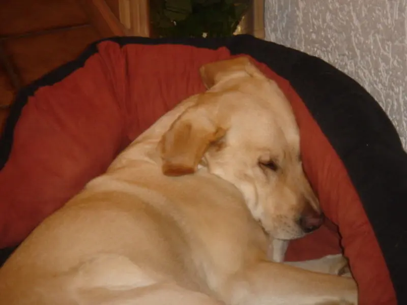 Bild von Kira
