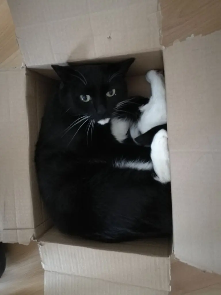 Image from Video
