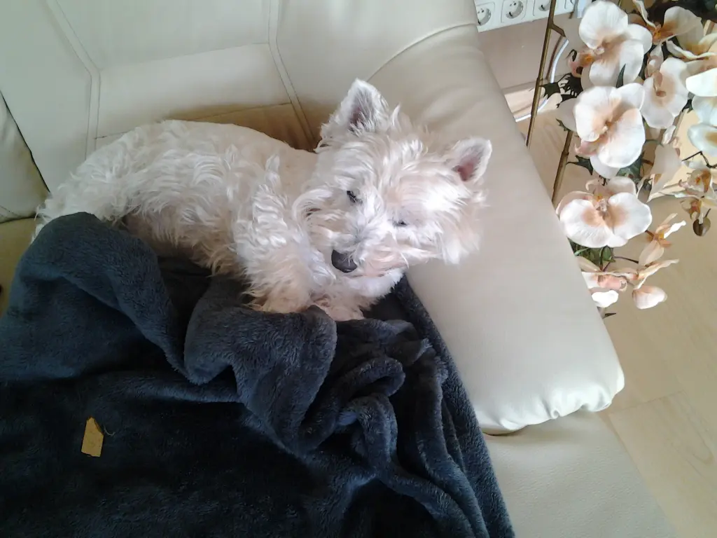 Image from Cathy