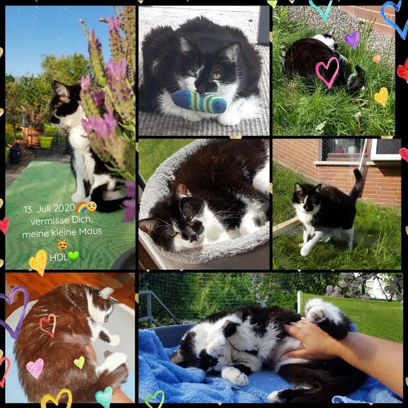 Condolence image of Nicole