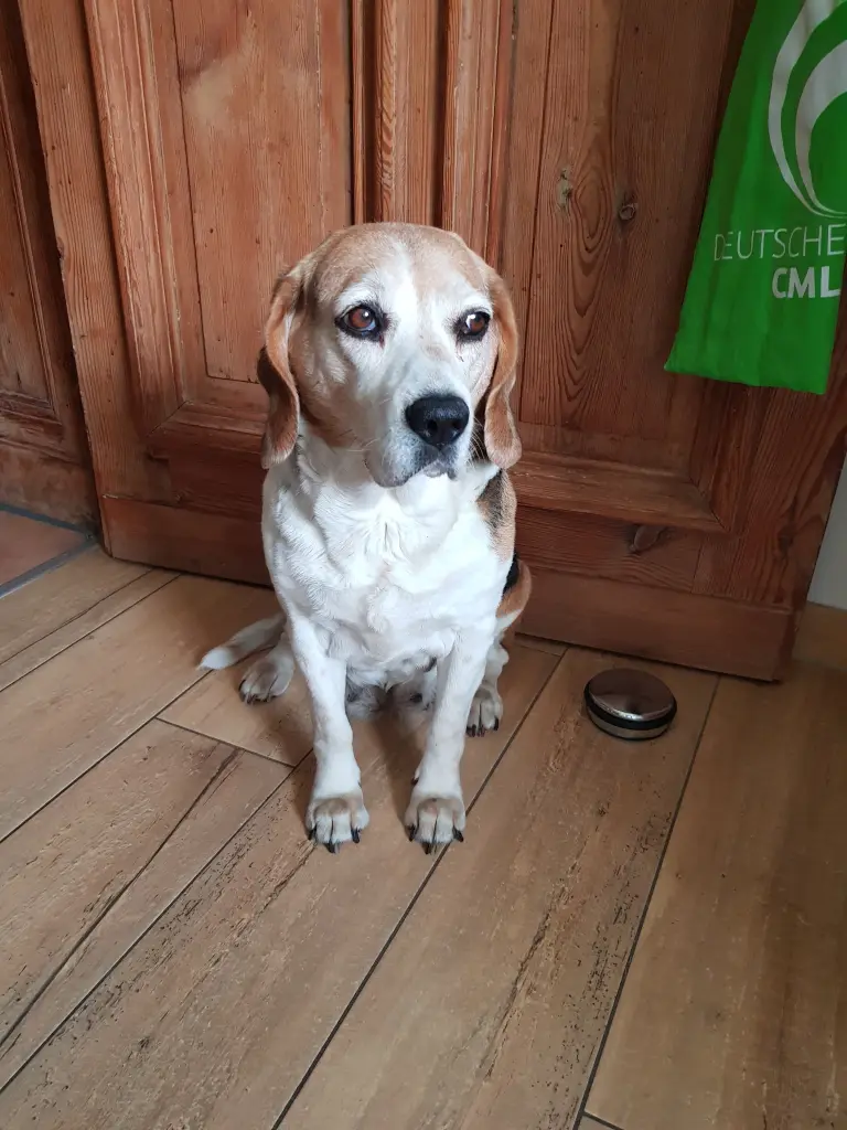 Condolence image of Silke