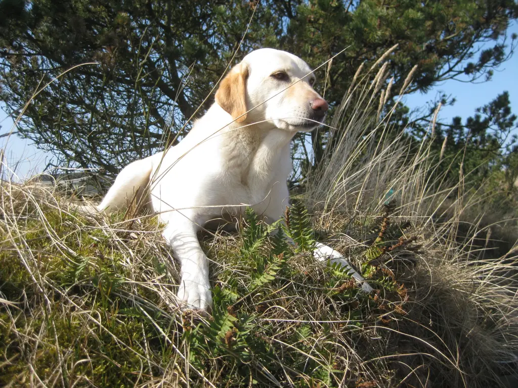 Condolence image of Marion