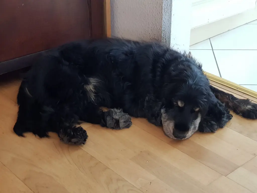 Condolence image of Susanne