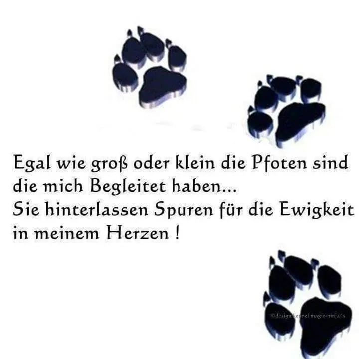 Condolence image of Sabine mit Luna im Herzen