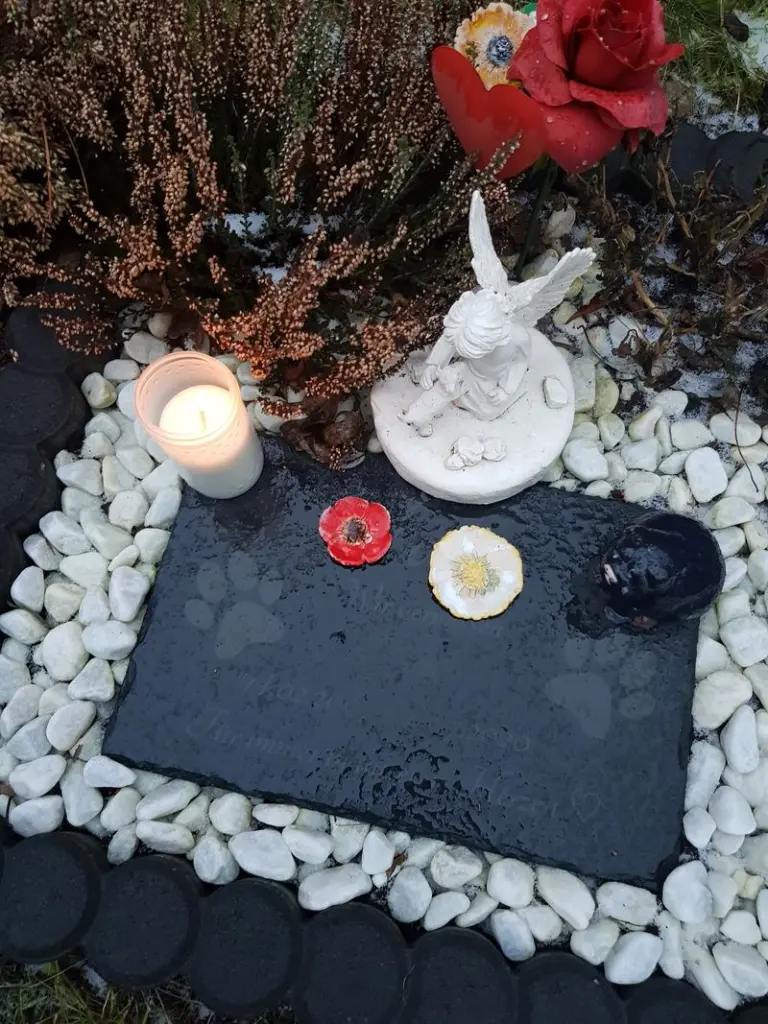 Condolence image of Susanne